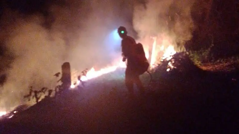 fuego